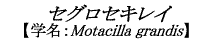 ZOZLC