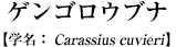 QSEui