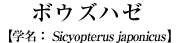 {EYn[