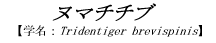 k}``u