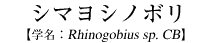 V}Vm{