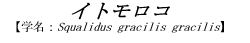 CgR