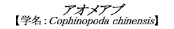 AIAu