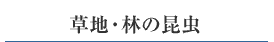 nEт̍