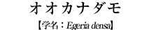IIJi_