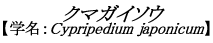 N}KC\E