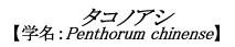 ^RmAV