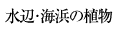 ӁECl̐A