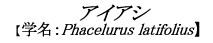 ACAV