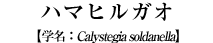 n}qKI