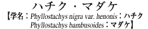 n`NE}_P