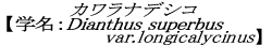 JifVR