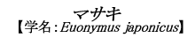 }TL