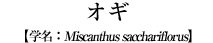 IM