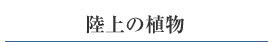 ̐A