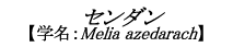 Z_