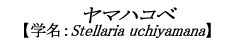 }nRx