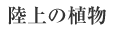 ̐A