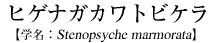 qQiKJgrP