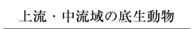 上流・中流域の底生動物