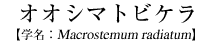 IIV}grP