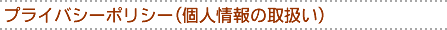 ץ饤ХݥꥷʸĿ;μ갷