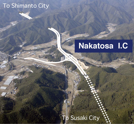 nakatosa-ic
