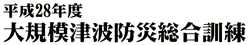 平成28年度大規模津波防災総合訓練