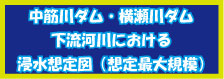 浸水想定区域図