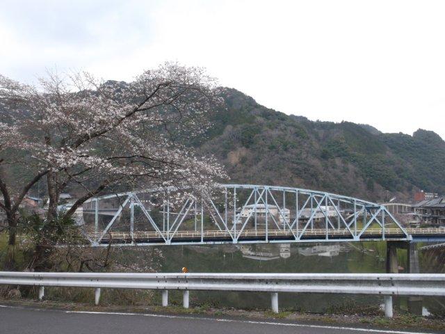 黒瀬橋と桜（3月25日撮影）