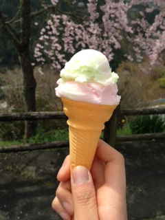 出店のアイスクリーム（4月2日撮影）