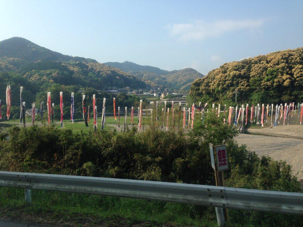 鯉のぼり