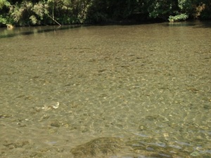 肱川流域での川遊び１