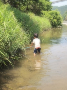 肱川流域での川遊び２
