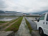 水質浄化実験の様子１