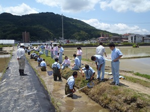 水質浄化実験の様子２