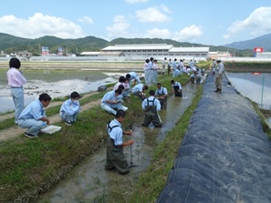 水質浄化実験の様子３