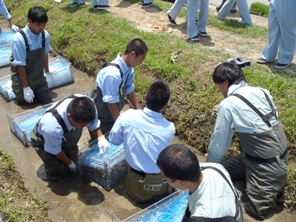 水質浄化実験の様子８