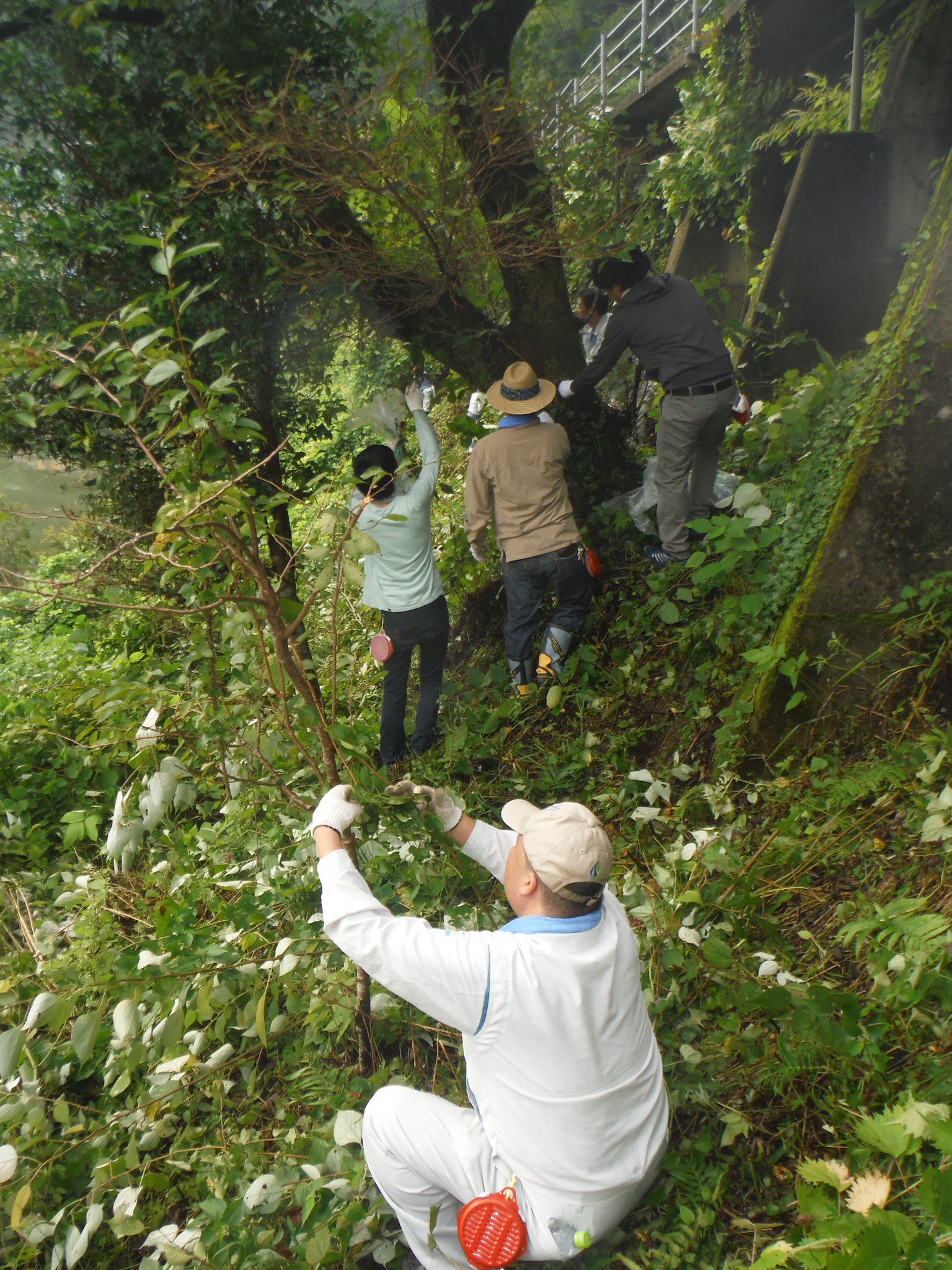 坂石地区清掃活動２