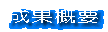 成果概要