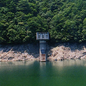 愛媛分水