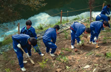 受益地域の中学生たちによる植樹